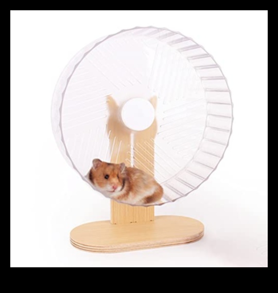 Kāmja riteņu drošība Turpinājums: veselīgas vingrošanas rutīnas veicināšana