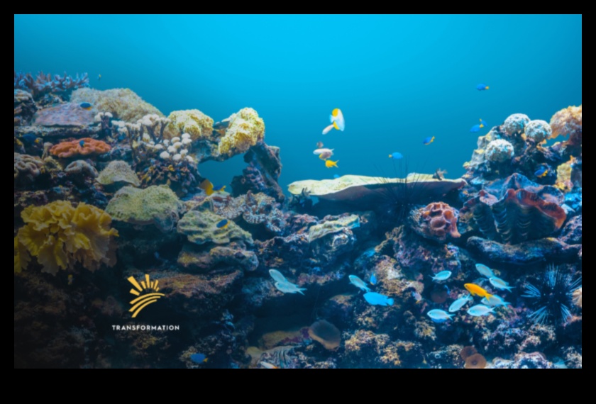 Piekrastes saglabāšana Turpinājums: novatoriskas stratēģijas okeāna aizsardzībai