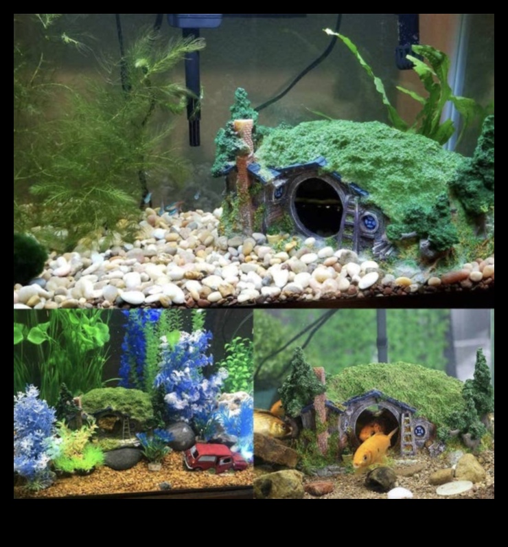 Fin-tastic Fish Adventures stimulējošas aktivitātes akvārija mājdzīvniekiem 2 Īpaši garšīgi zivju piedzīvojumi: stimulējošas aktivitātes akvārija mājdzīvniekiem