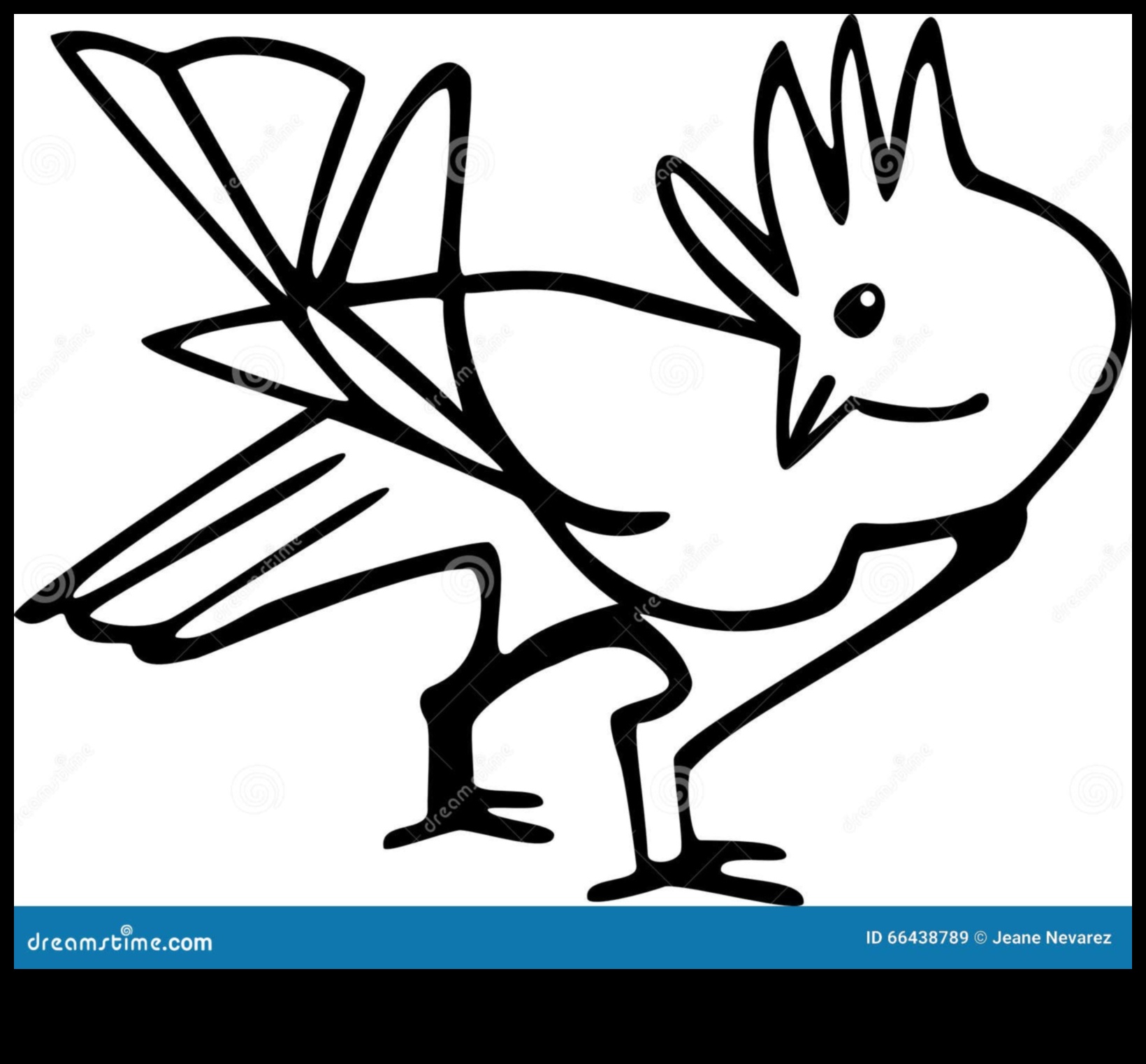 Spalvas: putnu kopšanas un kopšanas māksla