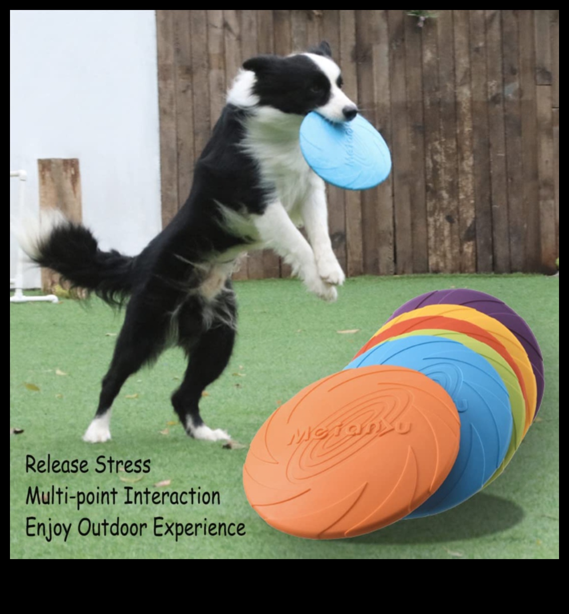 DIY Doggy diski frisbija veidošanai āra izklaidei 3 DIY Doggy diski: frisbija veidošana izklaidei brīvā dabā