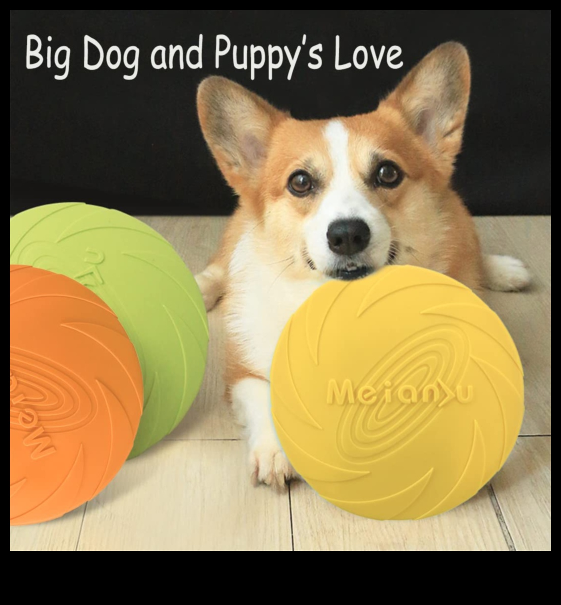 DIY Doggy diski frisbija veidošanai āra izklaidei 4 DIY Doggy diski: frisbija veidošana izklaidei brīvā dabā
