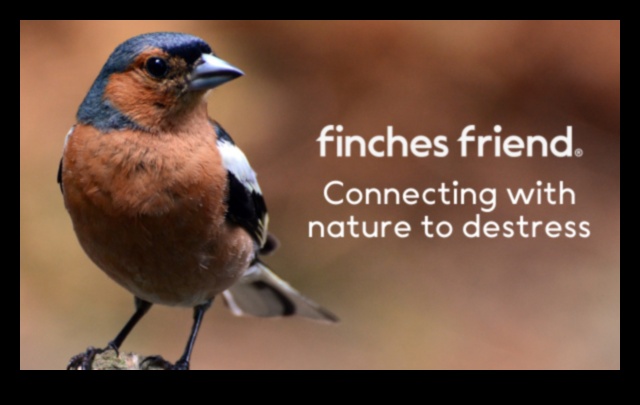 Skyward Serenity Putnu vērošanas nomierinošais efekts 5 Skyward Serenity: putnu vērošanas nomierinošais efekts