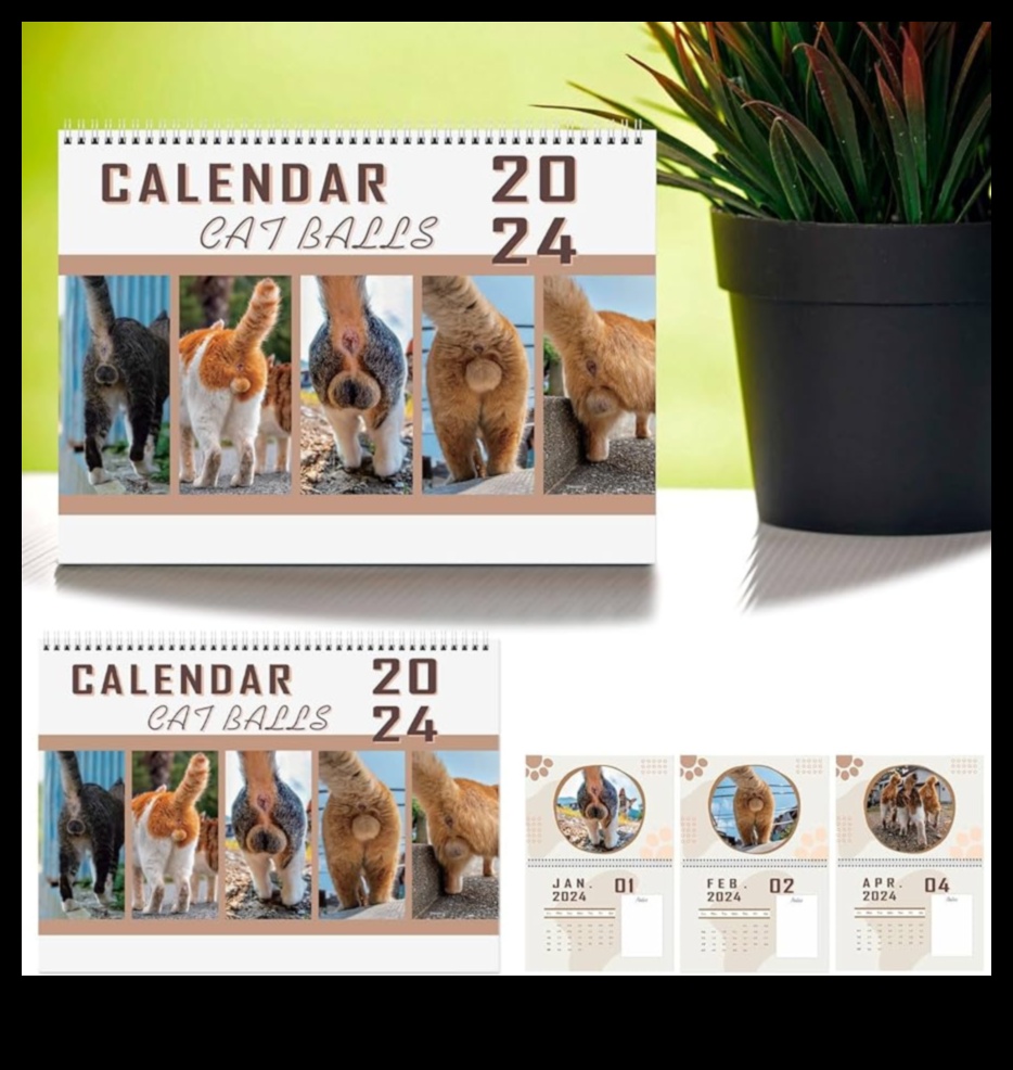 Kaķu kalendārs: uz kaķiem orientētu pasākumu un brīvdienu plānošana