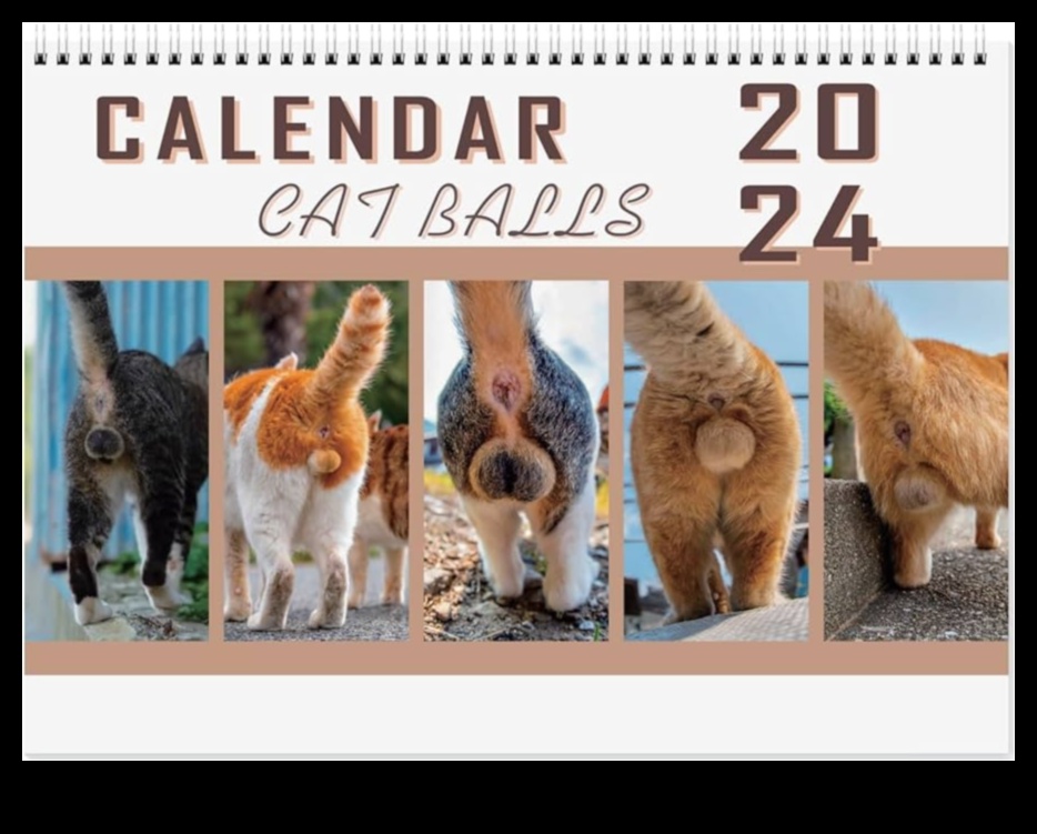 Kaķu kalendārs: uz kaķiem orientētu pasākumu un brīvdienu plānošana