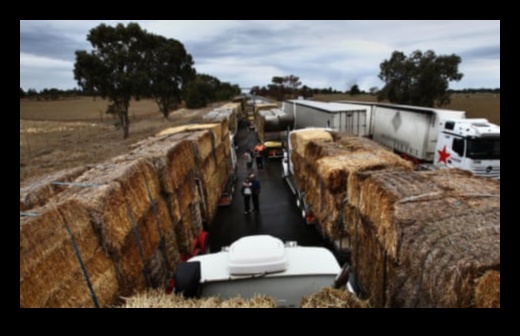 Lauku platformas: kravas automašīnas kā dzīvības līnija lauksaimniecībā un lauksaimniecībā