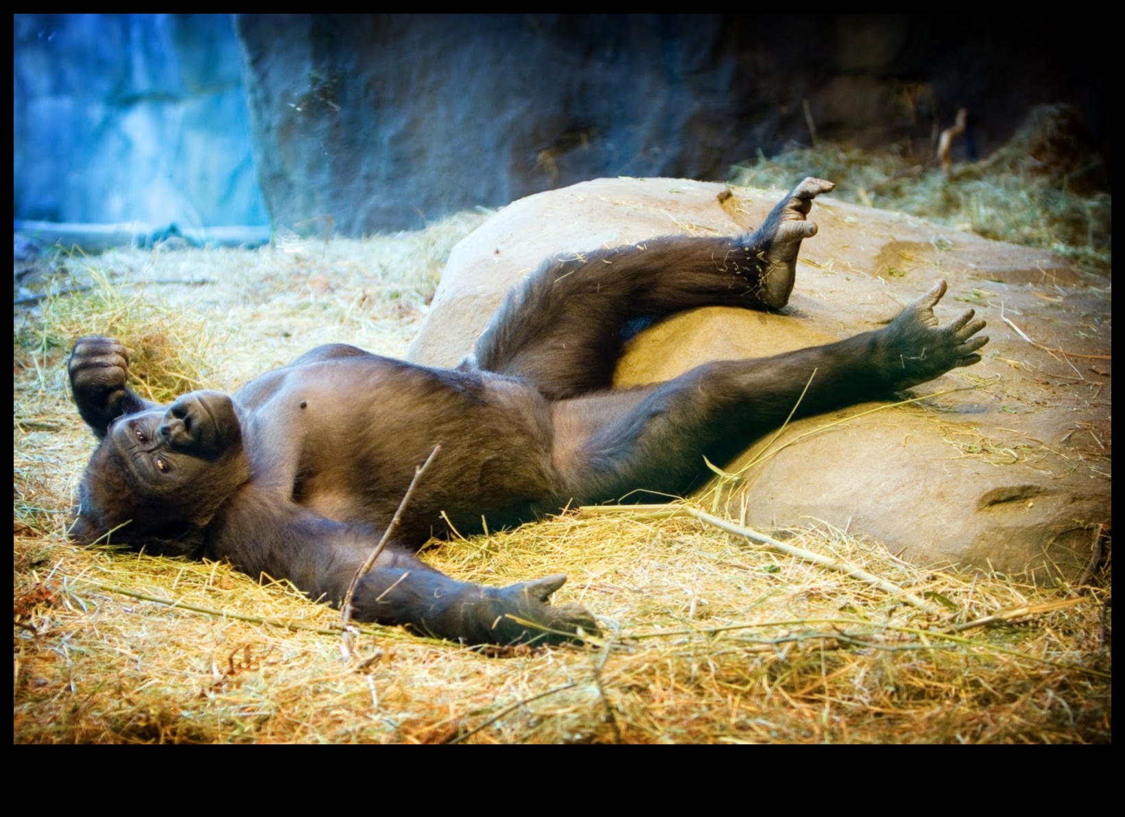 Miegs un atveseļošanās: Izpratne par atpūtas nozīmi fitnesā