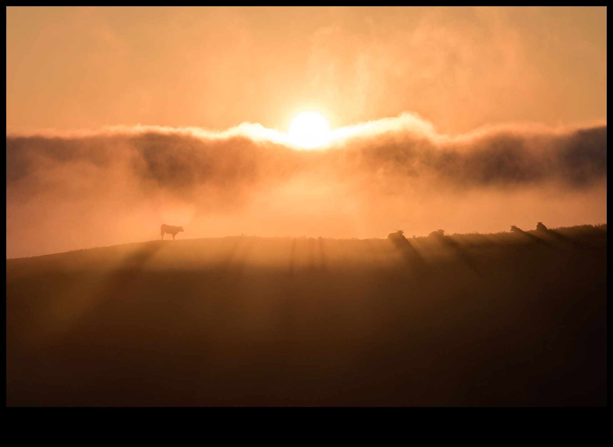 Golden Hour Grind: āra fitnesa saulrieta sesijas