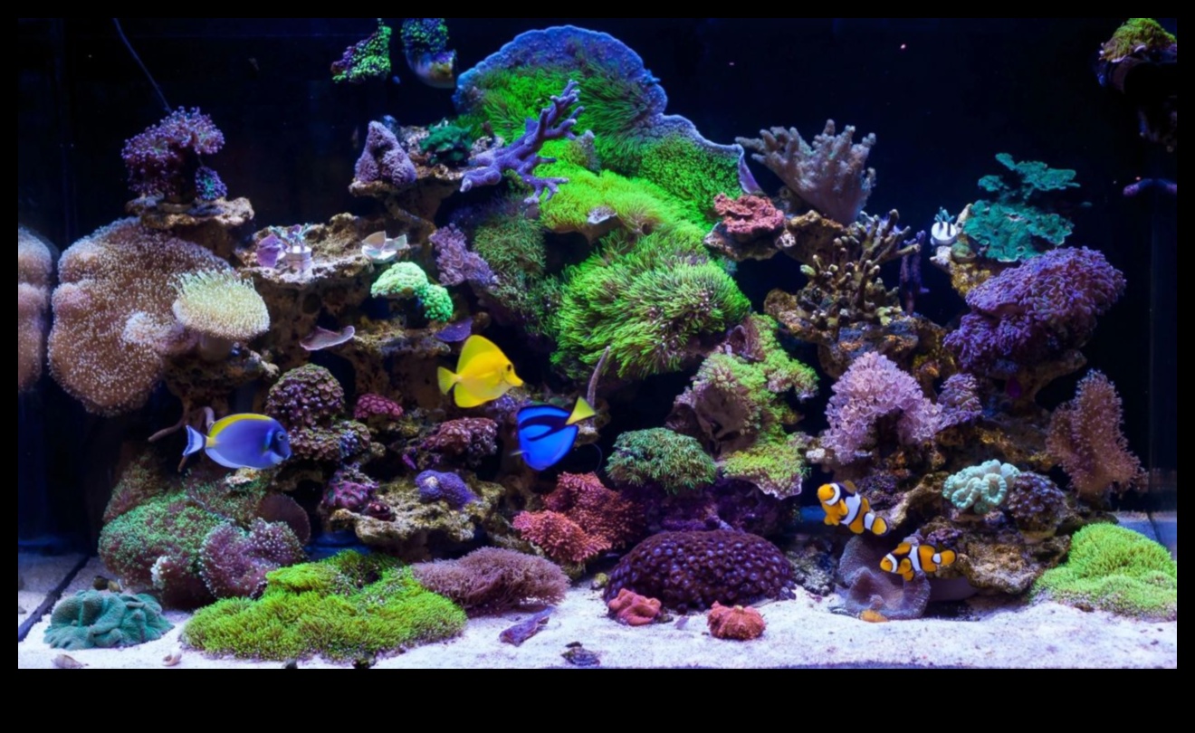 Zivju tvertne DIY Turpinājums: burvīgu zemūdens ainavu veidošana