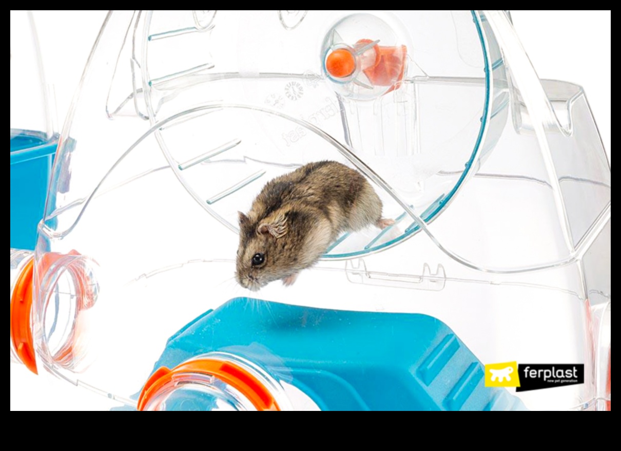 Hammija slēpņu ekstravagants: interaktīvas spēles kāmjiem