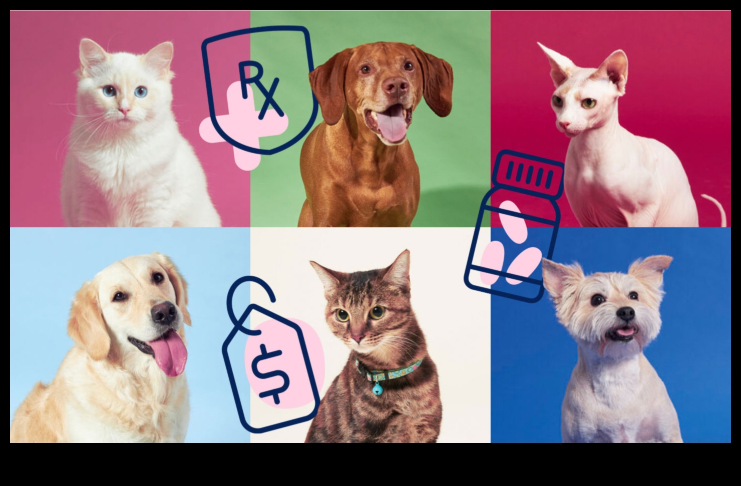 Navigācija suņu veselības apdrošināšanā: visaptverošs ceļvedis