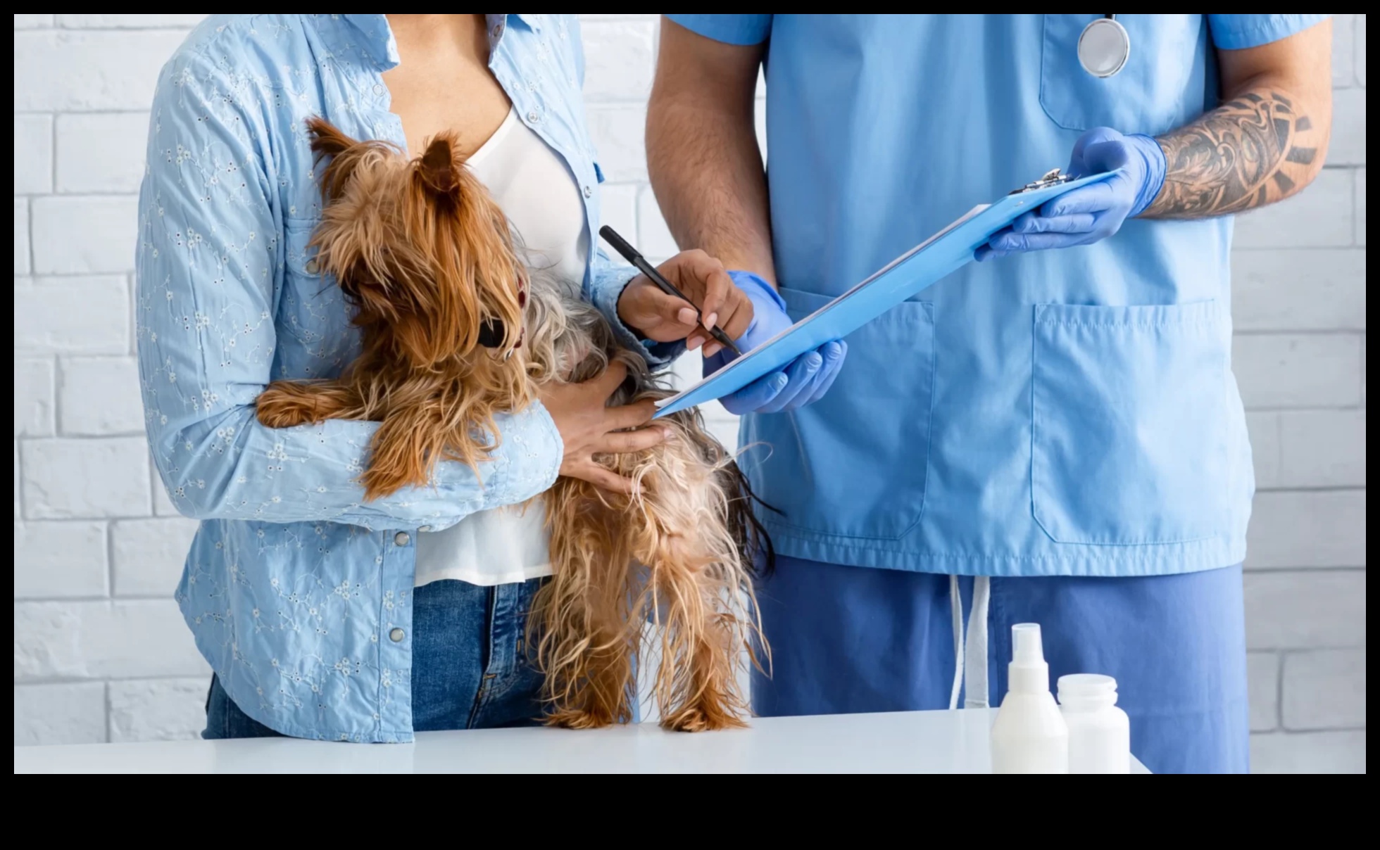 Navigācija suņu veselības apdrošināšanā: visaptverošs ceļvedis