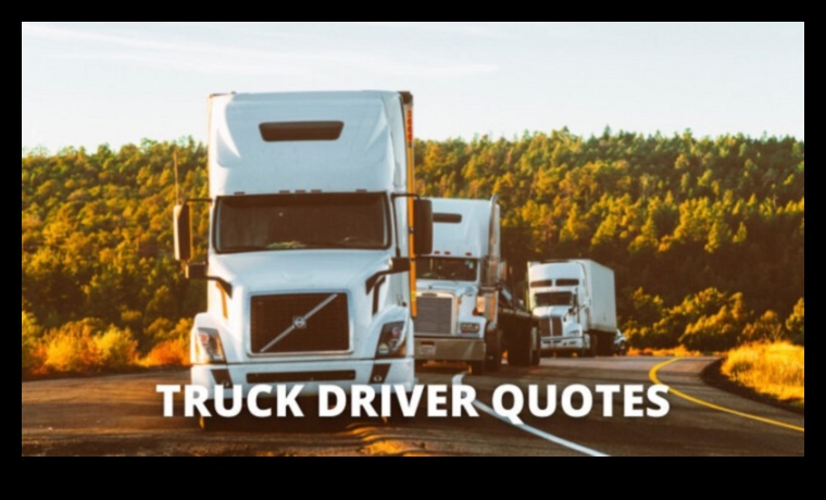 Šosejas hronikas Kravas automašīnu vadītāju garš un līkumotais ceļš 3 Highway Chronicles: personīgi stāsti no kravas automašīnu vadītājiem uz atklātā ceļa