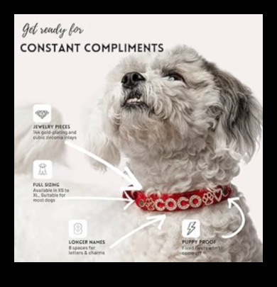 Canine Charm Turpinājums: Jūsu suņa kaklasiksnu kolekcijas uzlabošana un personalizēšana