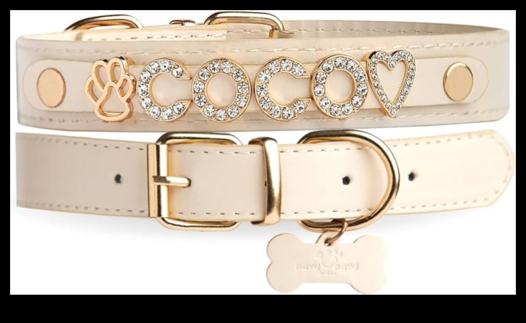 Canine Charm Turpinājums: Jūsu suņa kaklasiksnu kolekcijas uzlabošana un personalizēšana