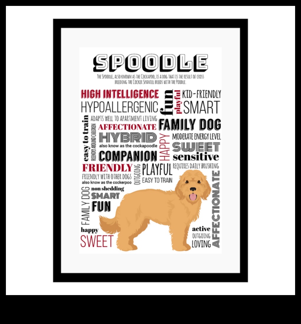 Doggy Doodles: iemūžiniet sava suņa personību mākslā