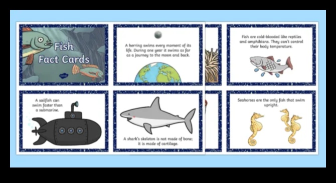 Zivju fakti Fiesta: Intriguing Tidbits Par zivīm atklāšana