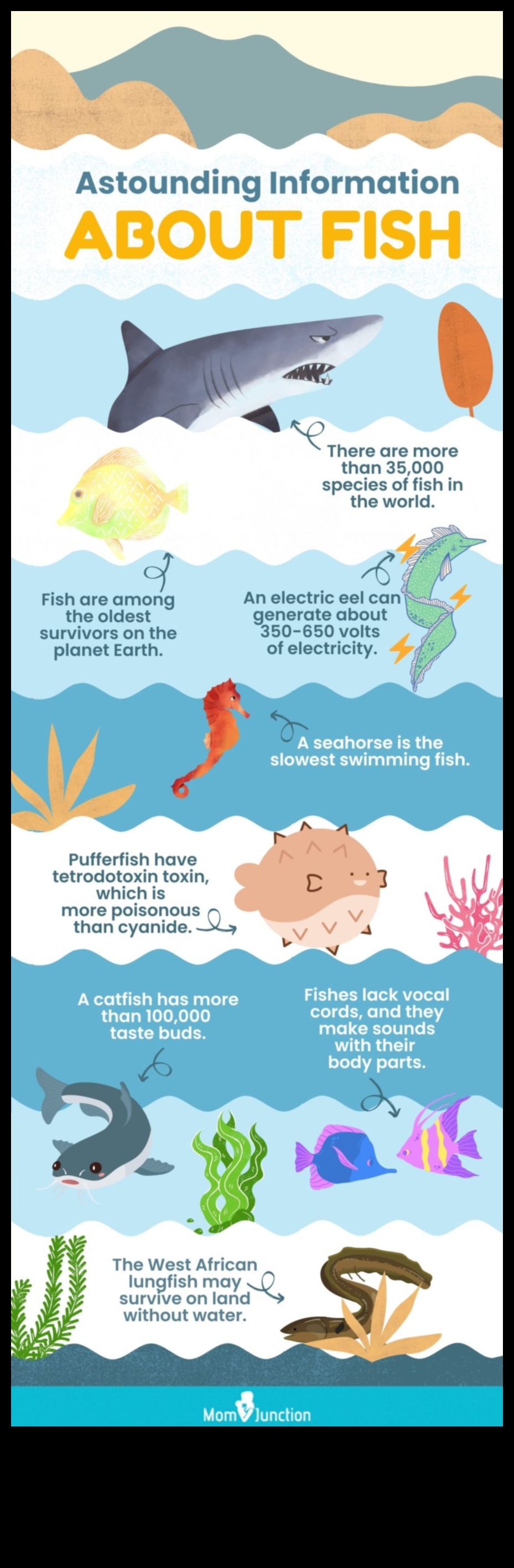 Zivju fakti Fiesta: Intriguing Tidbits Par zivīm atklāšana