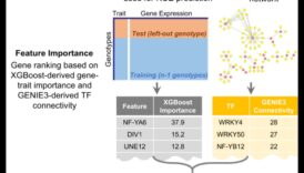 Izteiksmes evolūcija: mašīnmācīšanās cauri laikmetiem