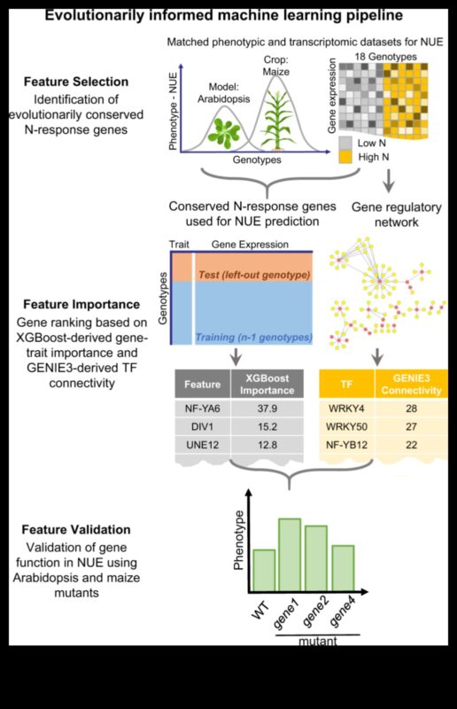 Izteiksmes evolūcija: mašīnmācīšanās cauri laikmetiem