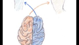 Izteiksmīga kustība: mākslinieciskas izteiksmes iekļaušana iesildīšanās procesā