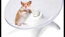 Kāmja riteņu drošība Turpinājums: veselīgas vingrošanas rutīnas veicināšana