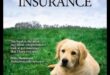 Navigācija suņu veselības apdrošināšanā: visaptverošs ceļvedis