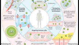 Projektēšana nano ietekmei: māksla, kas atstāj noturīgu precizitātes iespaidu