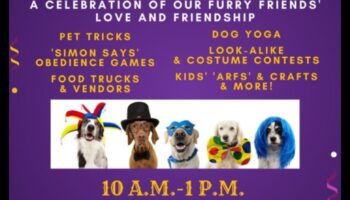 Suņu karnevāls: jautra un pūkaina pasākuma rīkošana suņiem