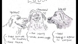 Doggy Doodles: iemūžiniet sava suņa personību mākslā