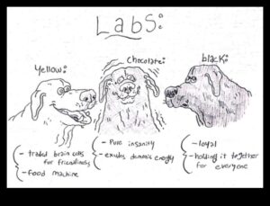 Doggy Doodles: iemūžiniet sava suņa personību mākslā