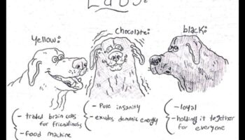 Doggy Doodles: iemūžiniet sava suņa personību mākslā